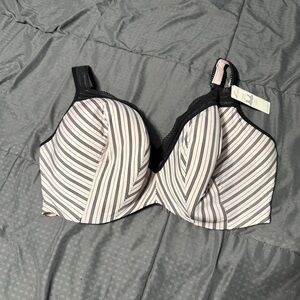 cacique Every Day Solution Balconette Bra 42h Pink With Black Lines New NWT